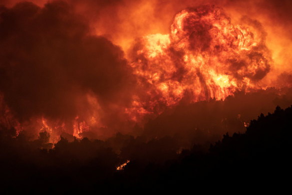 Flames engulf the bush at Mount Parnitha, in Athens, Greece, on Thursday.