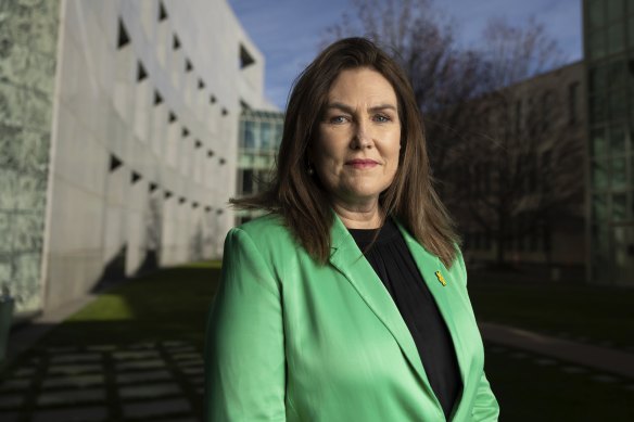 PwC pursuer-in-chief Senator Deborah O’Neill.