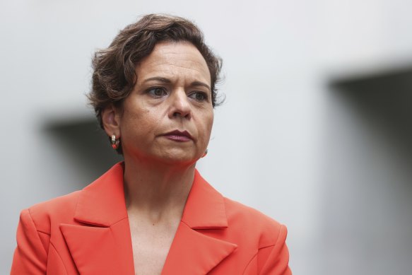 Communications Minister Michelle Rowland has warned the Coalition not to go soft on big tech as she defended the government’s proposed misinformation laws.