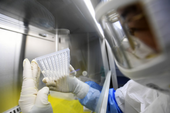 İlk salgın sırasında Şubat 2020'de Wuhan'daki bir laboratuvarda koronavirüs okuyan bir çalışan. 
