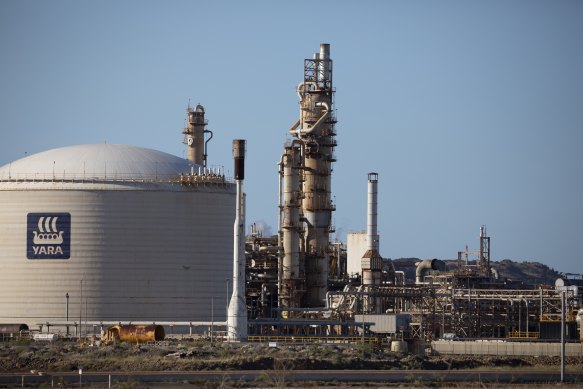 Santos: Yara’s Pilbara ammonia plant shuts as gas shortage bites after