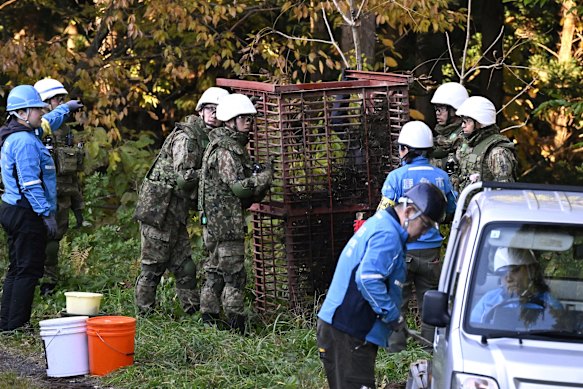 Membros da Força Terrestre de Autodefesa do Japão e outros montaram uma armadilha para capturar ursos em Kazuno, província de Akita, norte do Japão.
