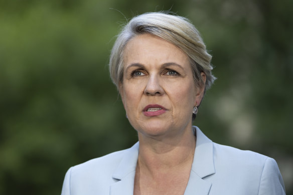 Environment Minister Tanya Plibersek met with representatives of the mining company but she declined an invitation from Bob Brown to visit the proposed dam site in the forest.