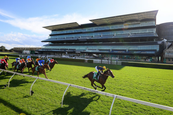 Masked Crusader wins like a $1.80 favourite should for Team Hawkes at Randwick.