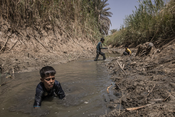 Young Iraqi boys search for fish in the stagnant waters of an almost-dry irrigation canal in al-Simsim, a village on the outskirts of Najaf, Iraq.