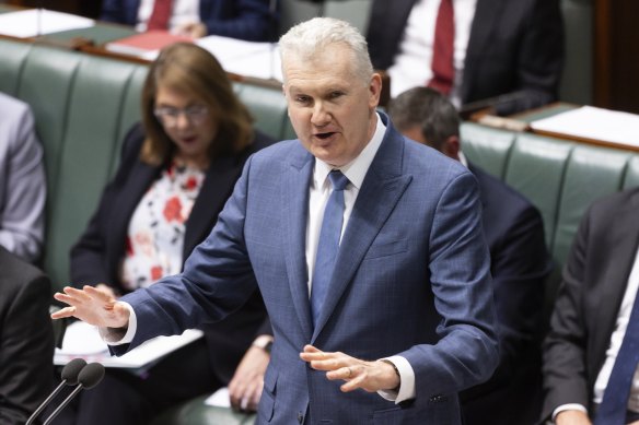 Workplace Relations Minister Tony Burke.