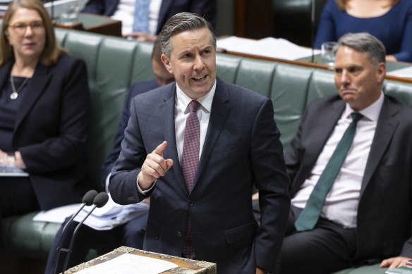 While some psychiatrists said they were concerned ADHD was being overdiagnosed and overmedicated,  Health Minister Mark Butler does not subscribe to that view.