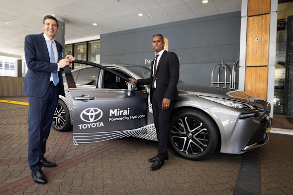 Green zone: Hydrogen histrionics and mixed messages as energy experts ...
