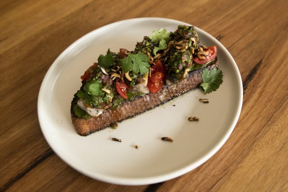 ‘Make me feel as though I’m on holiday in a seaside village’: Sardines on toast.