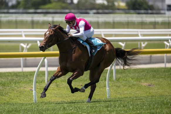 Skirt The Law is now one of the leading fancies for the Golden Slipper following her Magic Millions triumph.