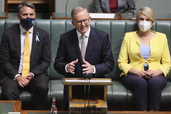 Opposition Leader Anthony Albanese put the aged care plan at the centre of his budget reply speech.