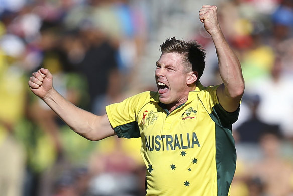 James Faulkner during the 2015 World Cup final. 