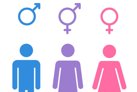 Debate over the inclusion of trans women in female-only spaces has been a debated topic in America.