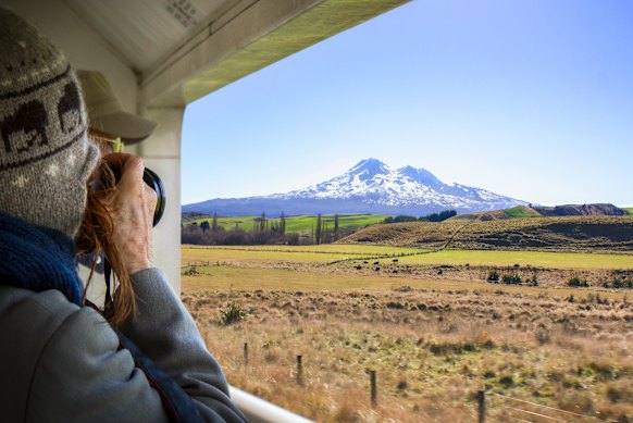 The view from the train.