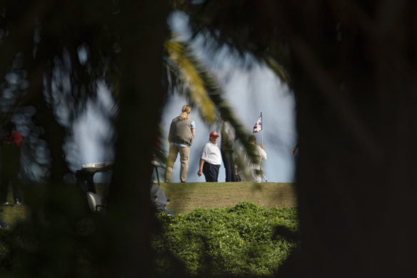 Then-president Donald Trump photographed through gaps in the shrubbery on the course at his Trump International Golf Club in West Palm Beach, Florida, in 2020.