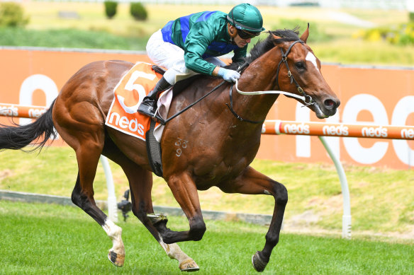 Coolmore boss Tom Magnier is confident Golden Rose winner Jacquinot has the right style for The Everest.