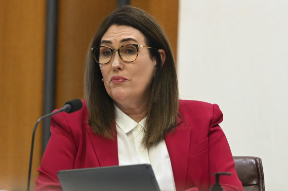 Senator Deborah O’Neill in the Senate inquiry into consulting firms.