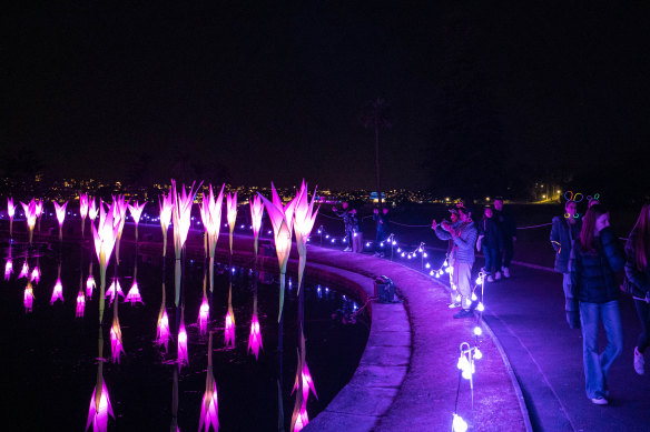 Lightscapes at the Royal Botanic Garden.