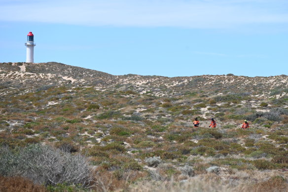 SES volunteers look for Cleo Smith in the sparse scrubland near Quobba Blowholes campsite, north of Carnarvon.