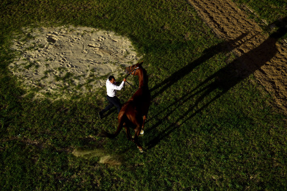 Racing is back at Canterbury on Wednesday.