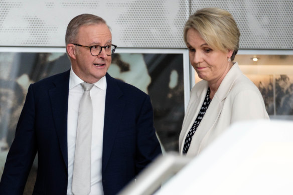 Prime Minister Anthony Albanese and Environment Minister Tanya Plibersek were at odds over her Nature Positive Bill last year.