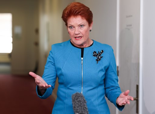From long-term novelty to political phenomenon: One Nation leader Pauline Hanson.