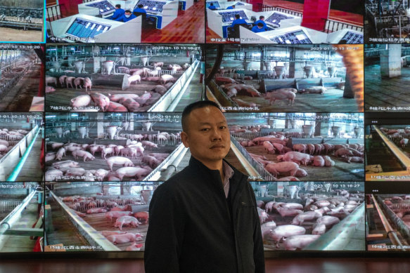 Jin Lin, general manager of the urban pig farm, stands in front of closed circuit television screens showing the animals.