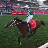 Via Sistina won the Cox Plate.