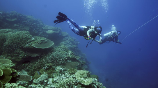 A UN-backed report is damning in its assessment of the state of the Great Barrier Reef.