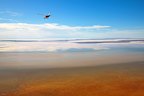 Kati Thanda-Lake Eyre in flood.