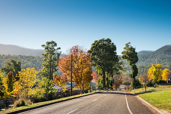 Road tripping through the Yarra Valley.