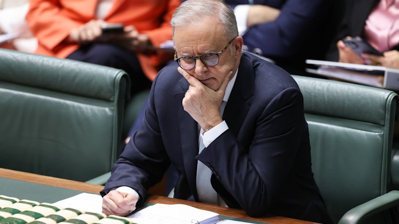 Coalition moves to press Labor on gambling reforms as woman arrested in London stabbing