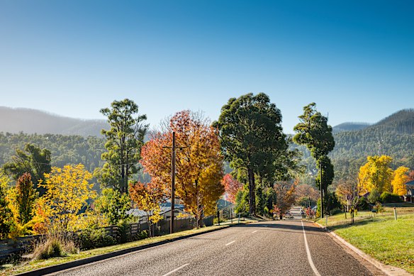 Road tripping through the Yarra Valley.