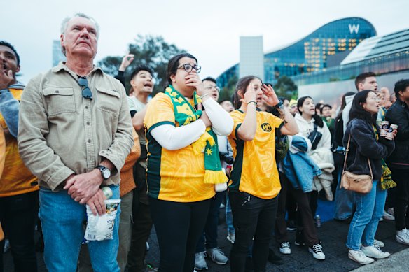 Fans at Tumbalong Park in Sydney.
