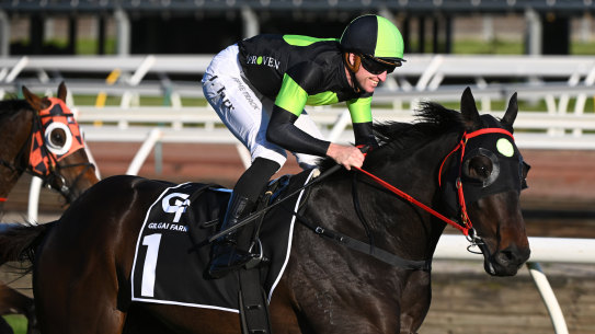 Private Eye strides away to win the Gilgai Stakes at Flemington.