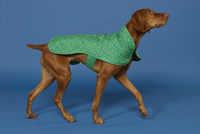 Blunt has made these chic dog raincoats in two colours and three sizes.
