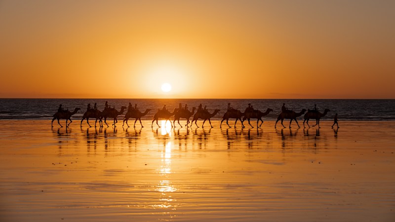The Asian AI wave on the Kimberley's horizon