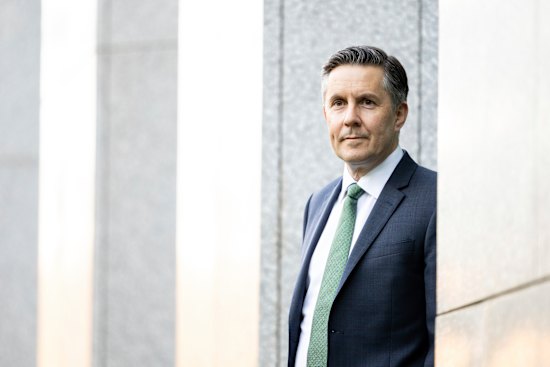 Health Minister Mark Butler wants to reign in cosmetic cowboys.