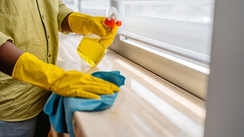 Why a ‘germier’ house is good for you