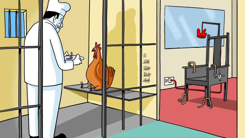 What comes first, the chicken or your egg shortage?