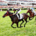 James McDonald rides Private Eye to win the Damien Oliver.