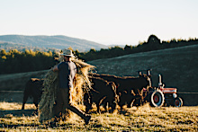 ‘The impact is in what the feed’s going to look like.’