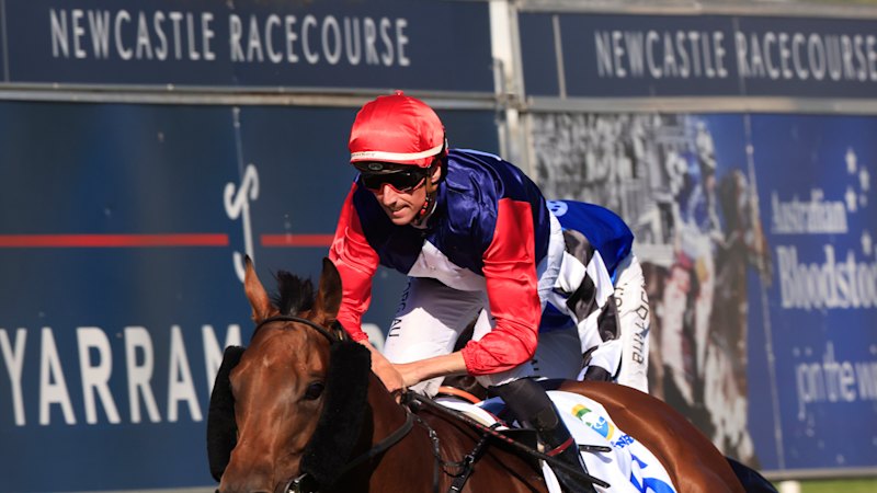 Tips and race-by-race guide for Newcastle on Sunday