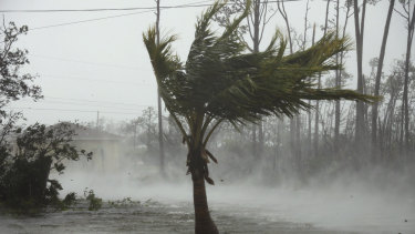 Strong winds from Hurricane Dorian blow the tops of trees while whisking up water from the surface of a canal in Freeport, Grand Bahama, Bahamas.