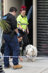 Police removed dogs from Lalor Street, Port Melbourne, during Wednesday morning's raid. 