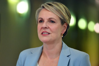 Opposition spokeswoman for women Tanya Plibersek.