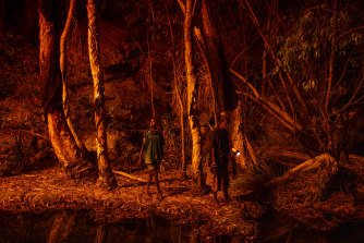 11 歲的斯泰西·李（左）點燃樹皮，以產生自然光源來幫助尋找文件蛇。 