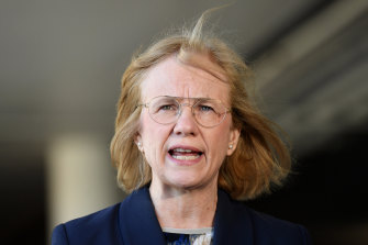 Queensland Chief Health Officer Dr Jeannette Young. 