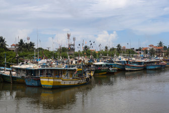 Trawlers anchored in Negombo. The fishermen, intercepted west of Christmas Island on election day, travelled on a similar boat.
