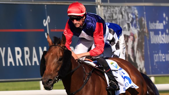 Newcastle races: Tips and previews for Newcastle Thursday meeting